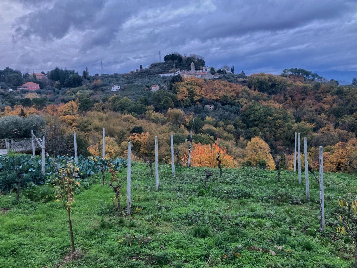 Willa La Casa Rossa Arcola Con Vista Zewnętrze zdjęcie